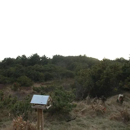 Annita - 300m From The Sea By Interhome Casa de Férias Oksbøl