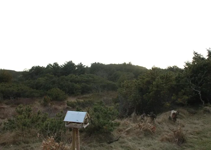 Annita - 300m From The Sea By Interhome Holiday home Oksbol (Syddanmark)